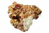 Ruby Red Vanadinite Crystal Cluster - Huge Crystals! #157037-2